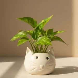 Cat face Mini Ceramic Planter/Pot for Succulent & Mini Plants, Eco Friendly, Decorative table Top Planter for Home, Office and Kids Room Décor, Gift for Every Occasion