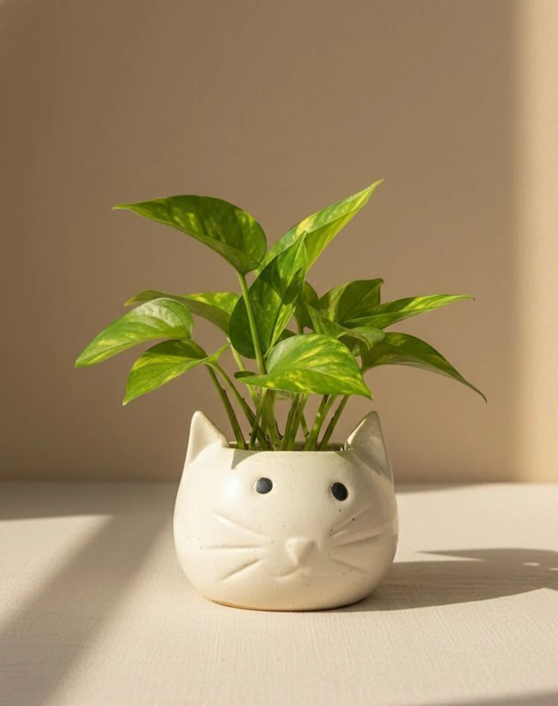 Cat face Mini Ceramic Planter/Pot for Succulent & Mini Plants, Eco Friendly, Decorative table Top Planter for Home, Office and Kids Room Décor, Gift for Every Occasion