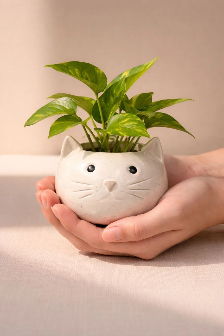Cat face Mini Ceramic Planter/Pot for Succulent & Mini Plants, Eco Friendly, Decorative table Top Planter for Home, Office and Kids Room Décor, Gift for Every Occasion